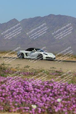 media/Jan-29-2023-PCA San Diego (Sun) [[aa0301ccc2]]/Yellow Group/Session 1 (Turn 15 Bloom)/